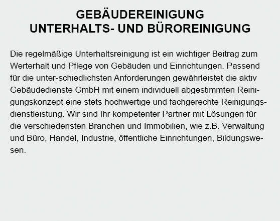 Baureinigungen