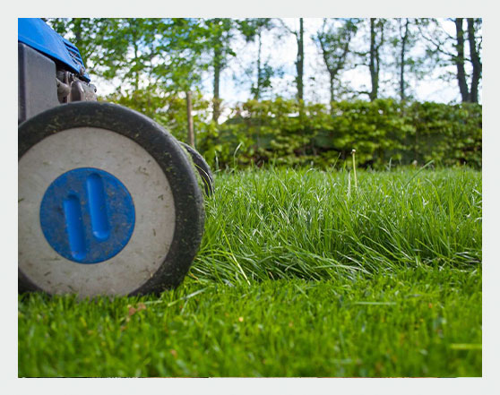 Gartenpflege